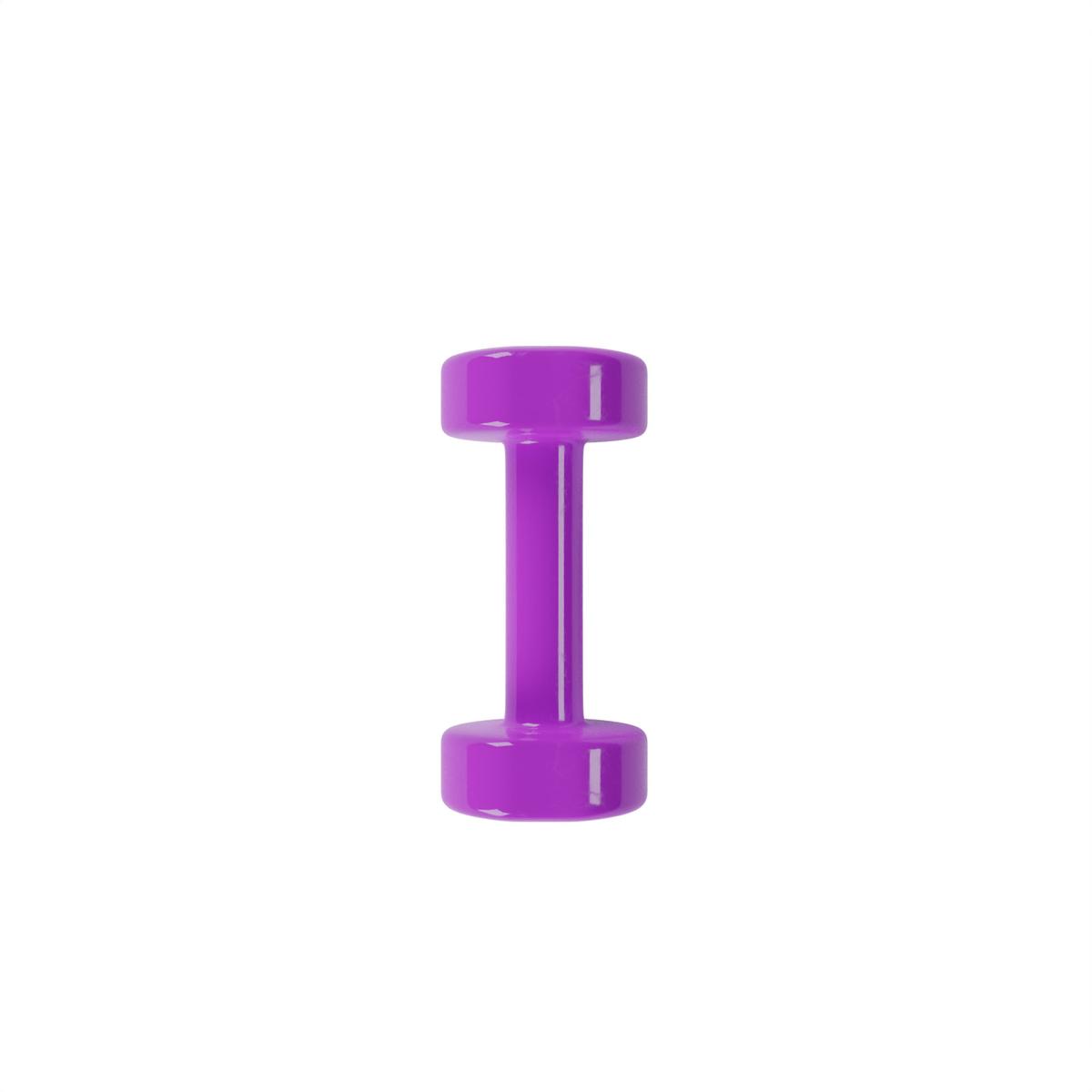 product/b/o/bodytone_698_purple_3.jpg