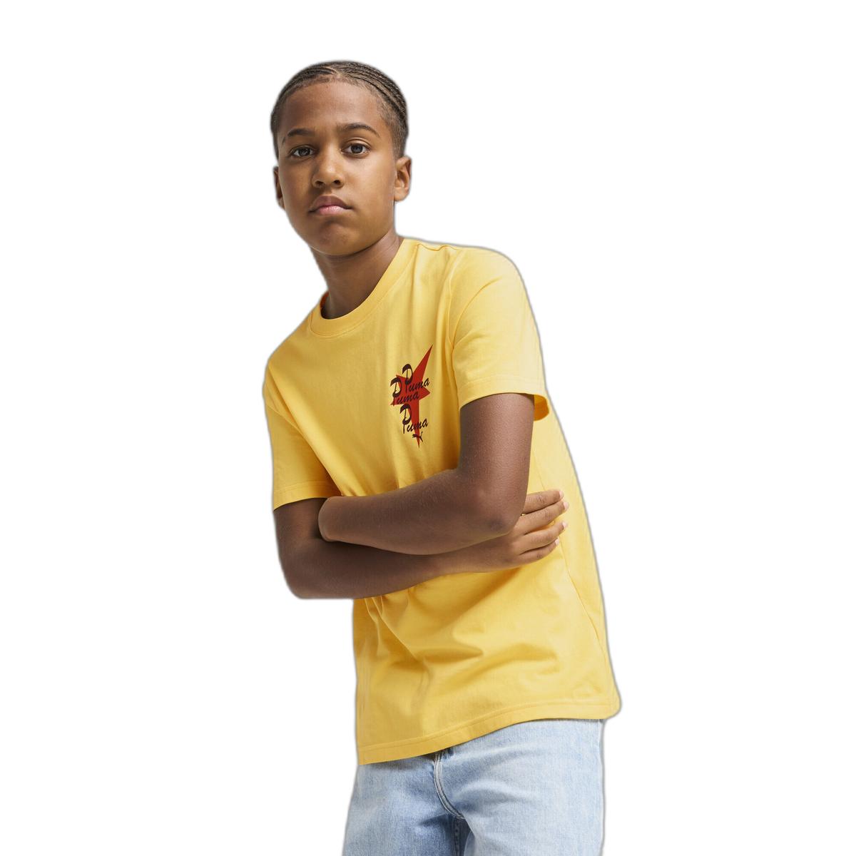 product/p/u/puma_630805-55_yellow_2.jpg