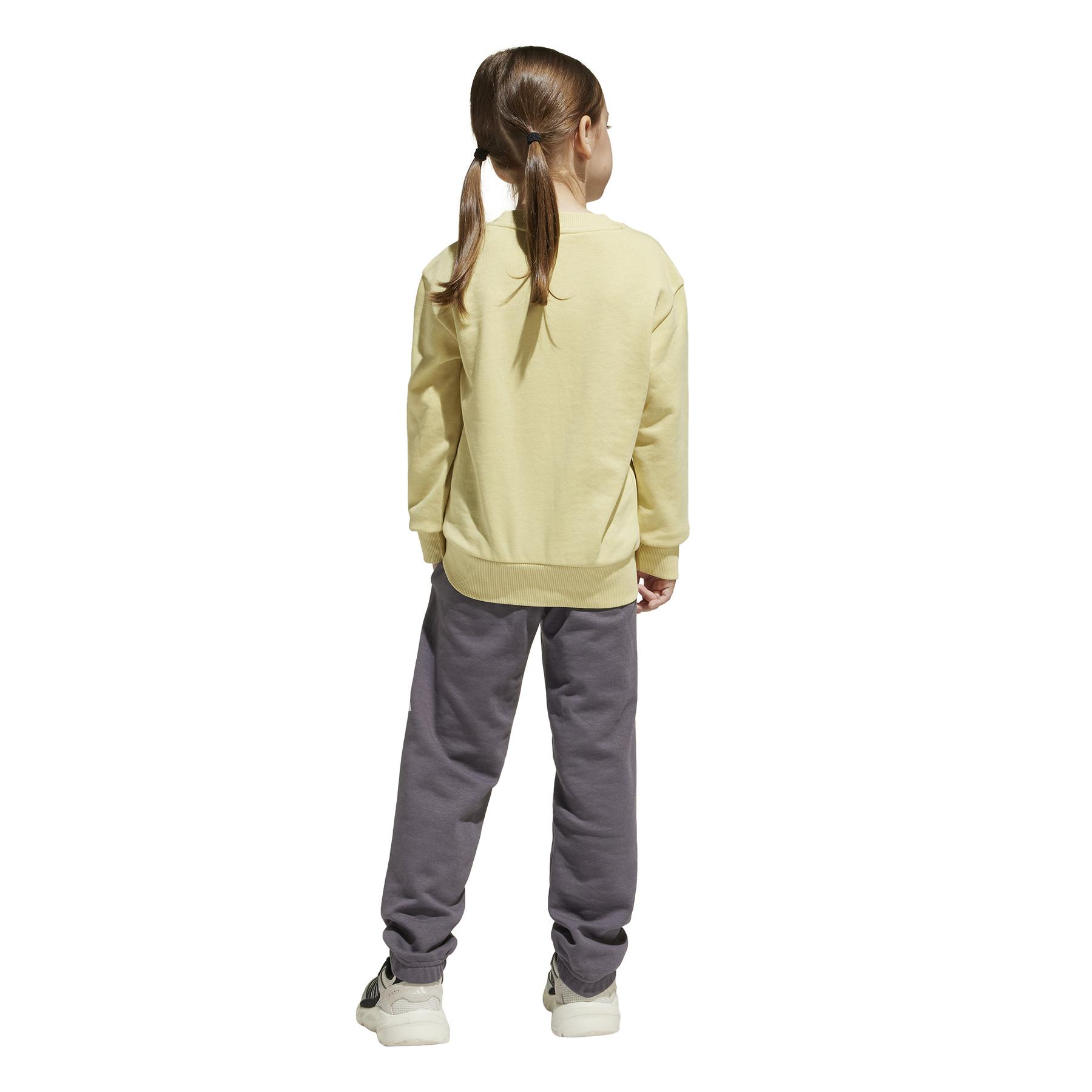 product/a/d/adidas_je1384_powyel-white_5.jpg