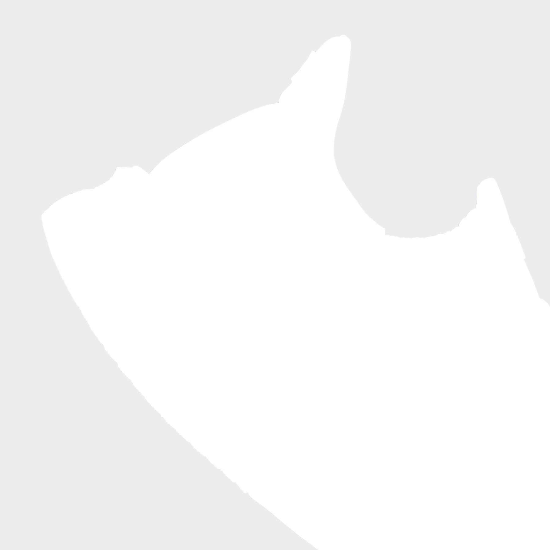 product/a/d/adidas_jq2919_9_footwear_photography_detail_view_2_white.jpg