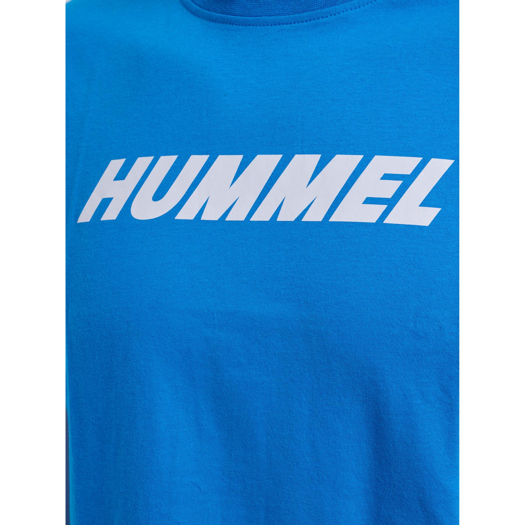 product/h/u/hummel_225882-7335_indigo-bunting_3.jpg