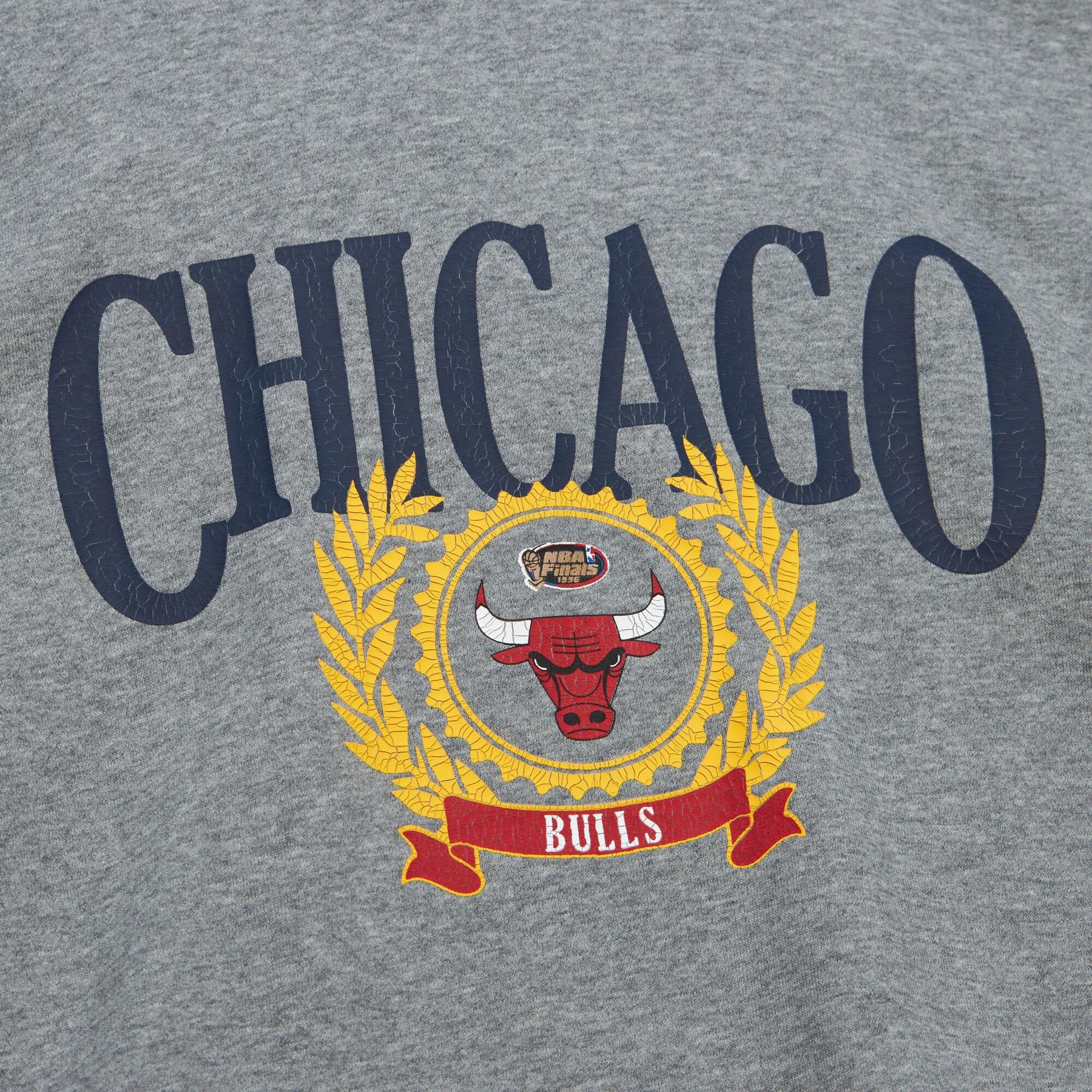 product/m/i/mitchell-ness_fphd6112-cbuyypppgrey_grey_3.jpg