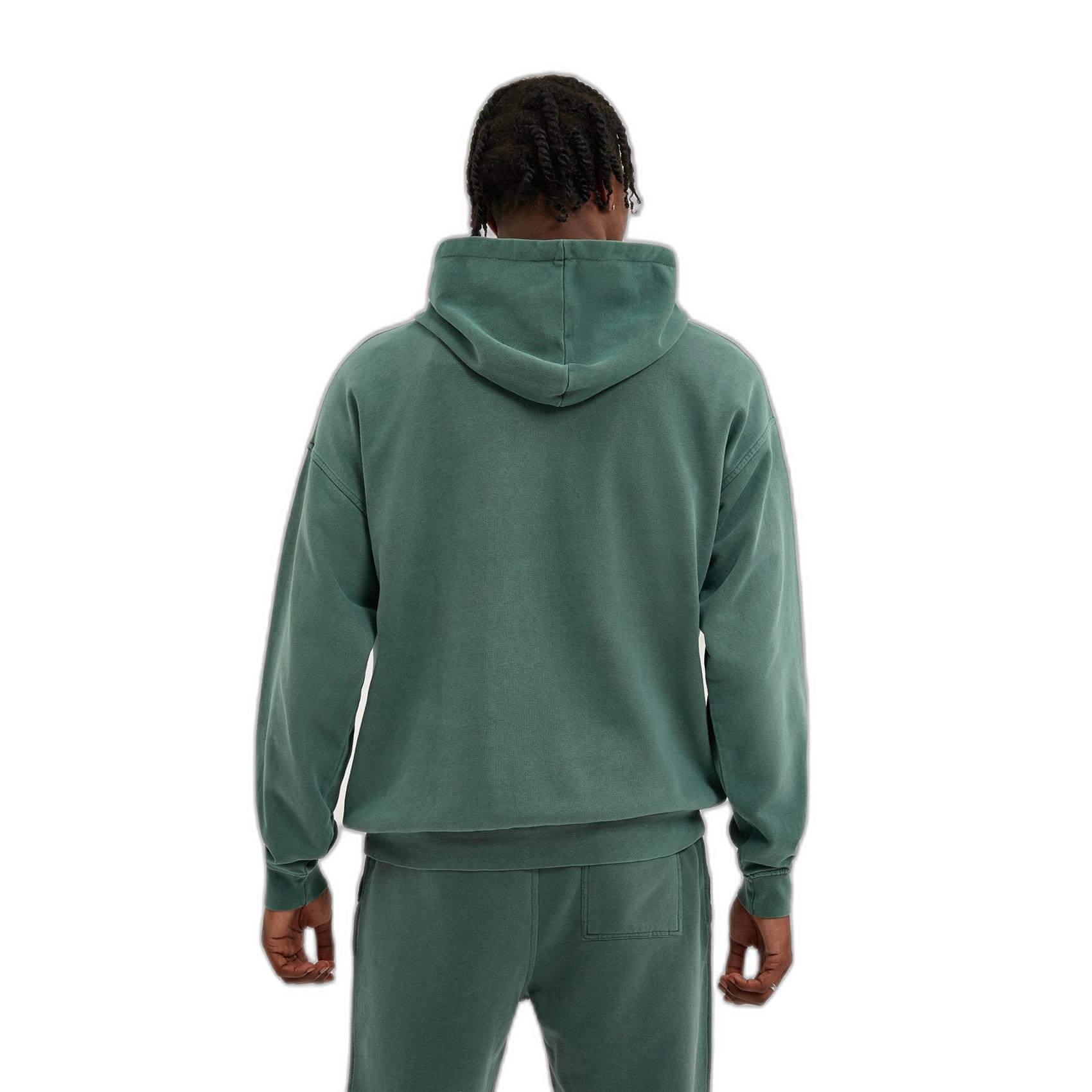 product/n/i/nicce_0190-k039-0787_washed-ivy-green_2.jpg