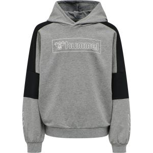 213376-2800-sweatshirt-a-capuche-enfant-hummel-hmlboxline-gris
