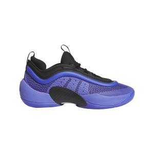 ig9100-chaussures-indoor-enfant-adidas-d-o-n-issue-5-cobblu-cblack-bluspa