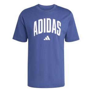 jm6417-t-shirt-adidas-collegiate-lineage-graphic-blue
