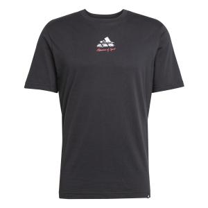 jm6440-t-shirt-adidas-memories-of-sport-gallery-graphic-black