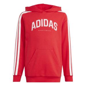jm7357-sweatshirt-a-capuche-enfant-adidas-codes-collegiate-graphic-purrub