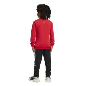 product/a/d/adidas_jn6102_purrub-white_5.jpg