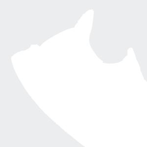 product/a/d/adidas_jq2919_9_footwear_photography_detail_view_2_white.jpg