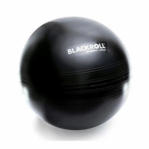 spor-a000095-gym-ball-blackroll-65-black-65-cm