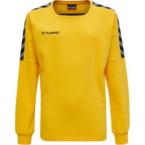 205374-5001-sweatshirt-enfant-hummel-hmlauthentic-training-jaune