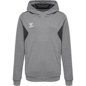 219977-2006-sweatshirt-a-capuche-polyester-enfant-hummel-authentic-grey-gris