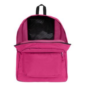 product/j/a/jansport_ek0a5bagu221_mag4276758_4.jpg