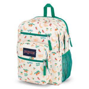 product/j/a/jansport_ek0a5bah7o91_beige-multicolore_5.jpg