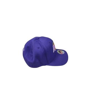 product/m/i/mitchell-ness_hhssintl1634-lalmnpl_2.jpg
