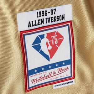 product/m/i/mitchell-ness_smjy4398-p7696aivgold_2.jpg
