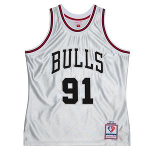 smjy4758-cbu97drdpltn-maillot-nba-chicago-bulls-dennis-rodman-silver