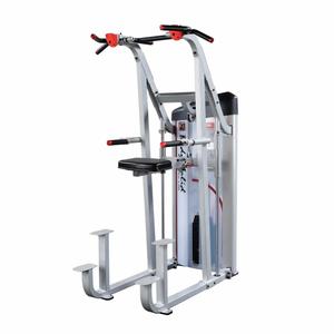 s2acd-2-appareil-de-musculation-dips-au-menton-assiste-proclubline-series-ii-pile-de-poids-105-kg-gris-noir-160x111-8x223-5-cm