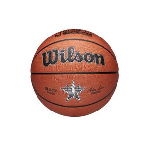 wz2022601xb-ballon-wilson-all-star-replica-2025-nba-brown-taille-7